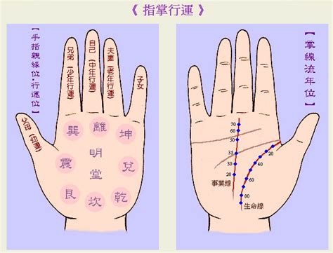 掌相分析|手相图解：手掌的“五大纹路”